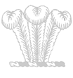 Crest of the Roosevelt Arms